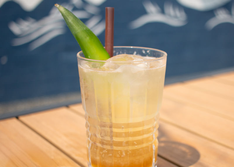 Case 1 Ginger Recon Mocktail