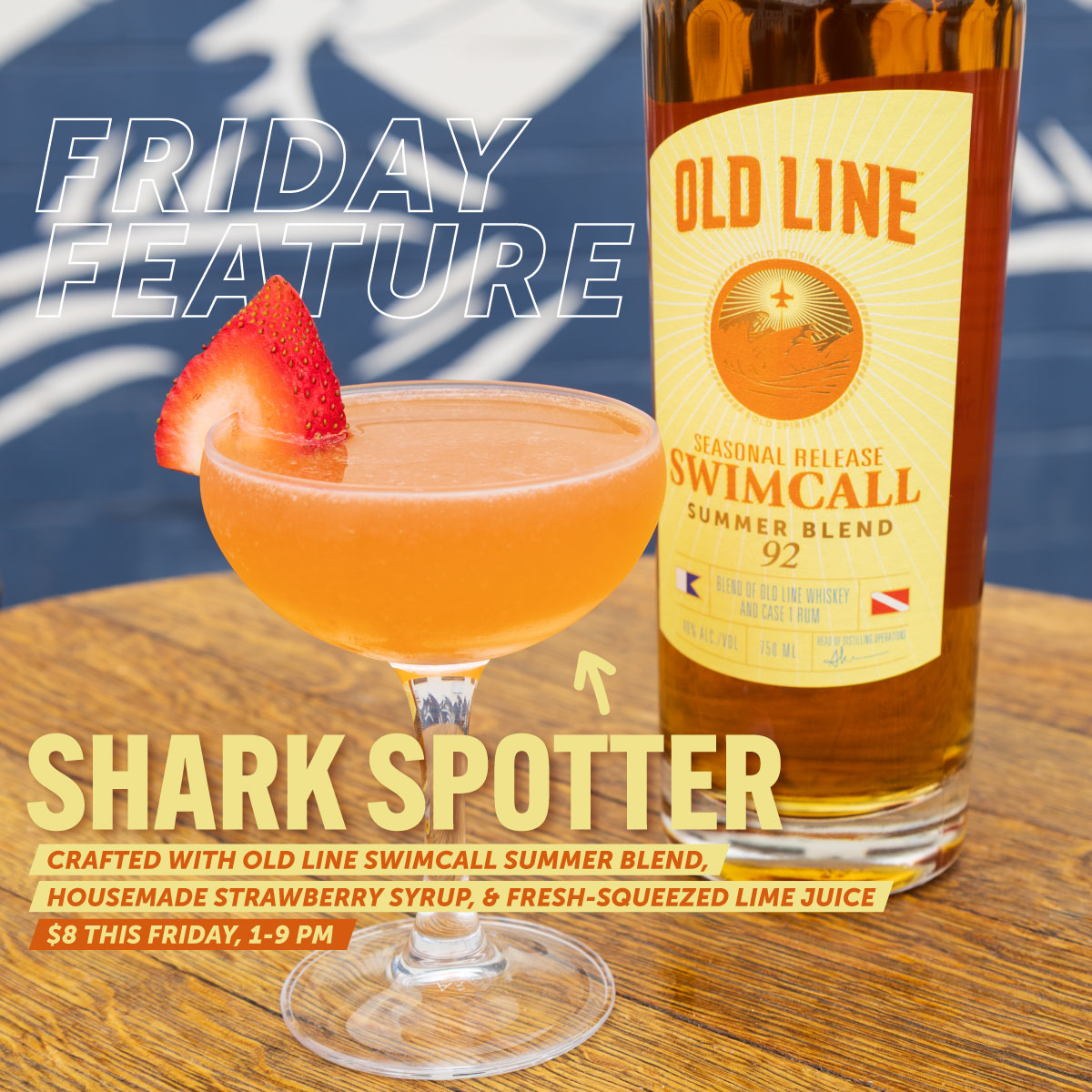 Shark Spotter Friday Feature